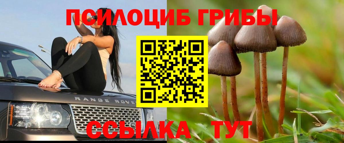 Пыть-Ях  Галлюциногенные грибы Cubensis  Галлюциногенные грибы мицелий  Вход с VPN 